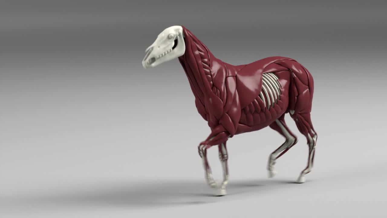 Ziva Dynamics | Ziva VFX