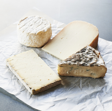Cheese