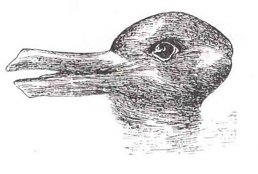 Optical illusion of duck and rabbit in one photo
