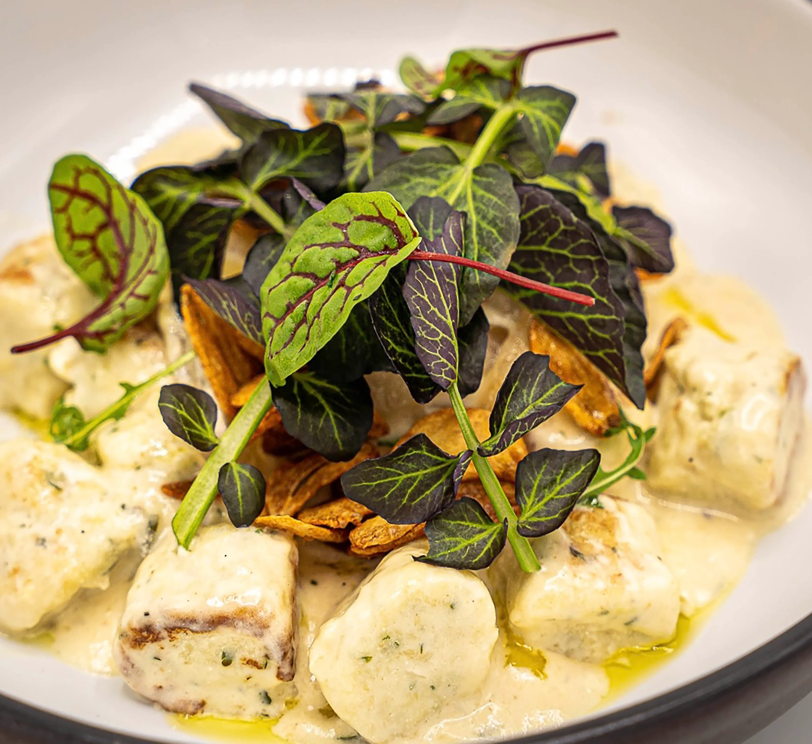 House-made herbed ricotta gnocchi