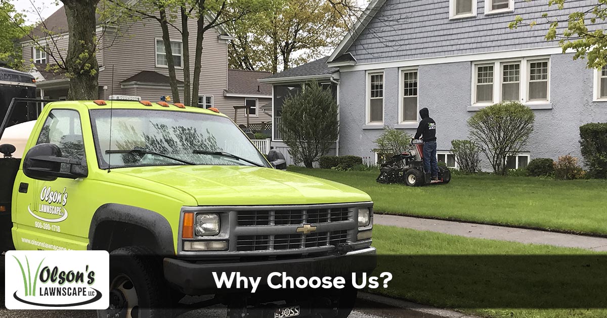 Why choose Olson's Lawnscape for lawn care services in Michigan?