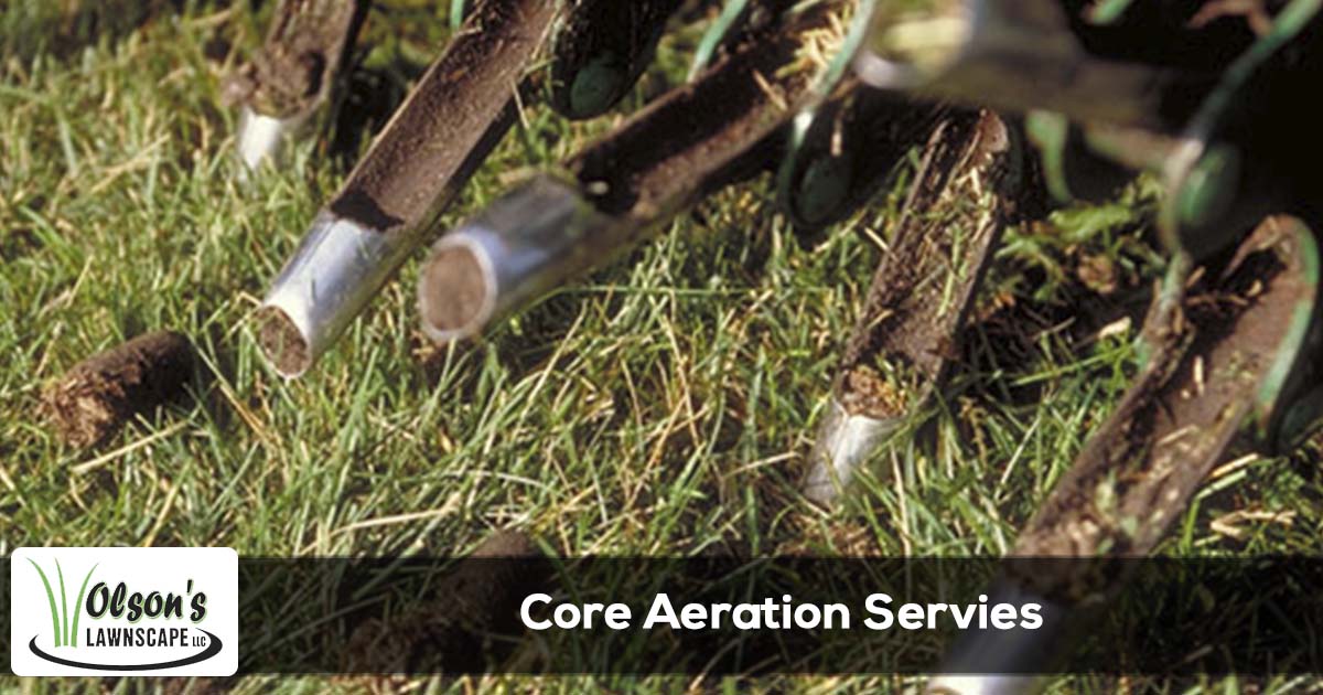 Core aeration service in Michigan