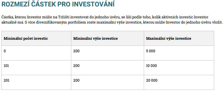 Parametry na stránce Zonky, které ukazují, kolik peněz můžeme maximálně investovat do půjček.