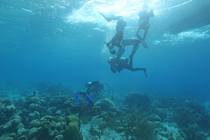 thomas-decarlo-remote-coral-reef
