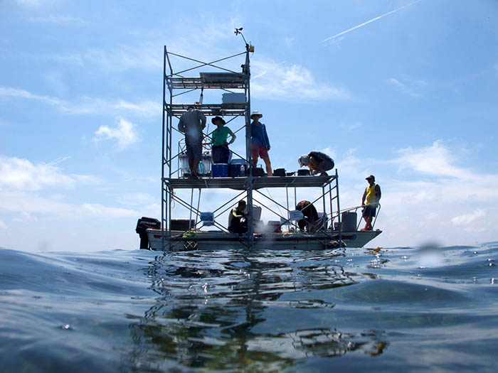 thomas-decarlo-south-china-sea