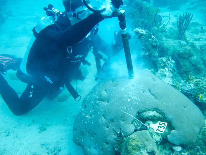 thomas-decarlo-coral-reef