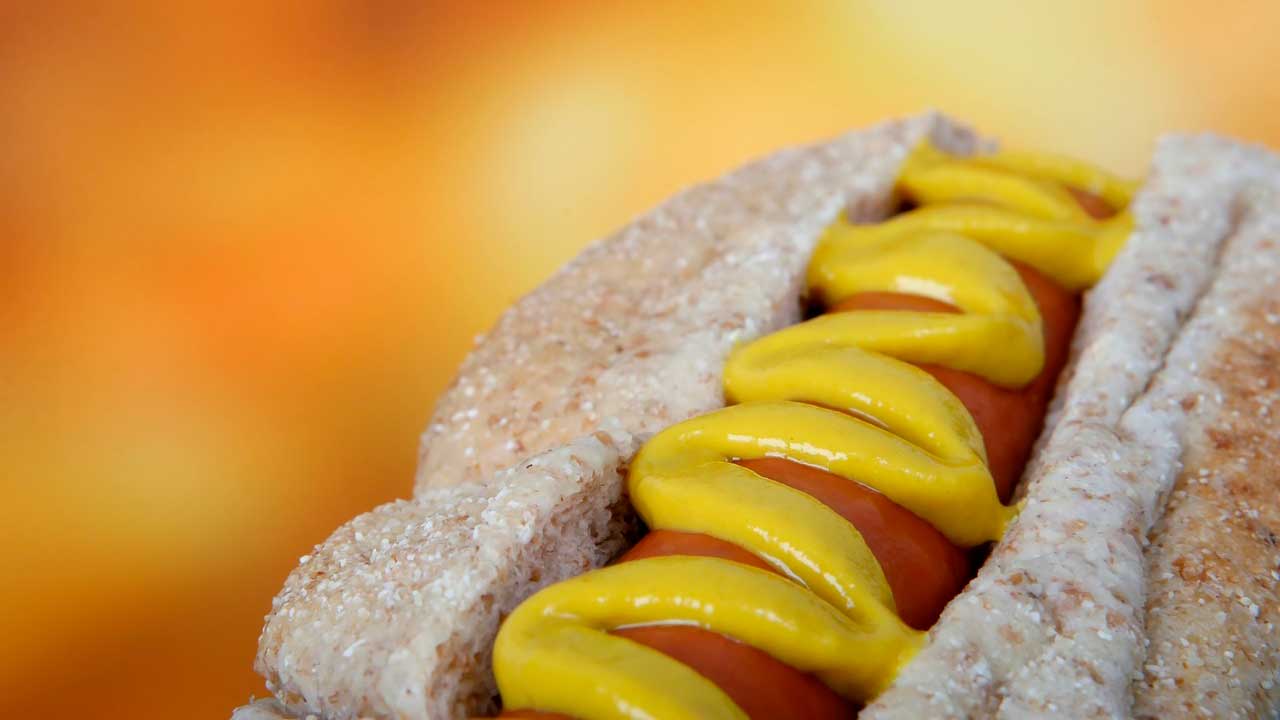 Por que a criatividade e a inovação precisam andar juntas? - Cachorro Quente