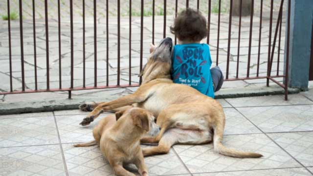Cariança sentada no portão ao lado de dois cachorros.