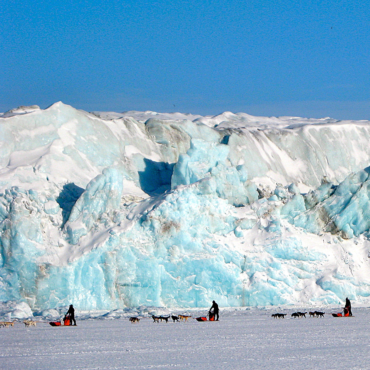 Dog sleigh trip in the Arctic wilderness