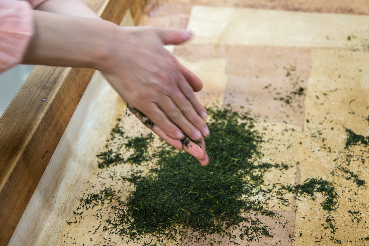 Hands rolling tea leaves to make green tea in Chiran area, Kagoshima, Japan.