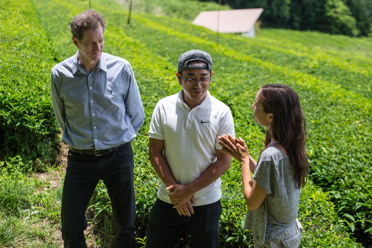 Two men and a woman discuss about green tea growing and producing while standing in tea field in Yame, Fukuoka, Japan.