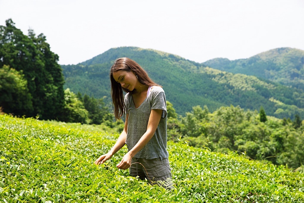 A woman stands in a green tea field in the mountainous area of Yame, Fukuoka, Japan.