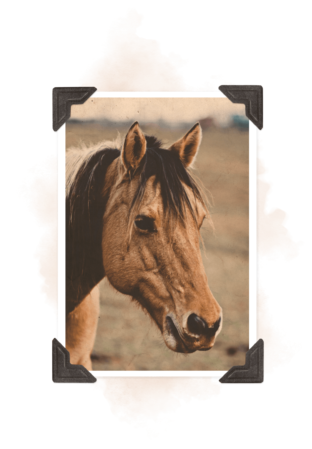 Leander and Stage, Stage