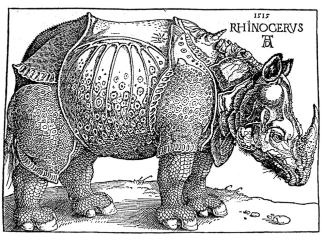 durer.jpg
