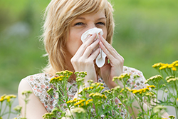 Allergy Sufferer, Grass, Flowers, Pollen