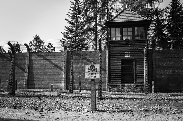 Third Reich's legacy tied to present-day xenophobia and political intolerance