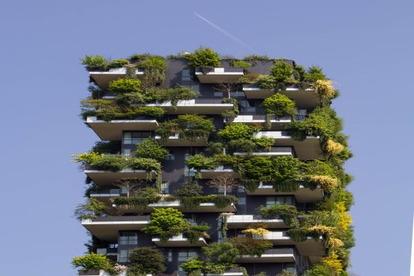Innovations for sustainability in a post-pandemic future