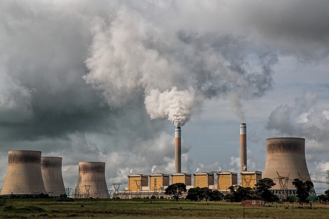 Most nations failing to protect nature in COVID-19 pandemic recovery plans