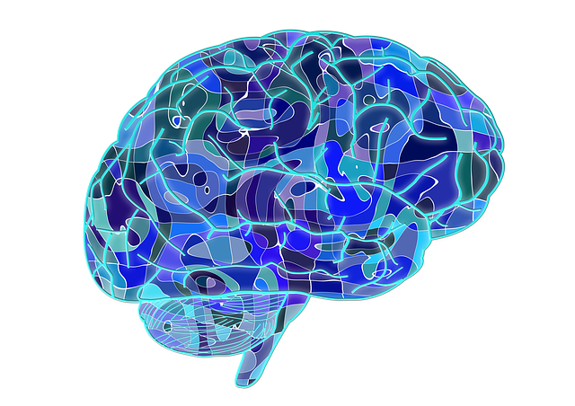 The reward system and decision-making
