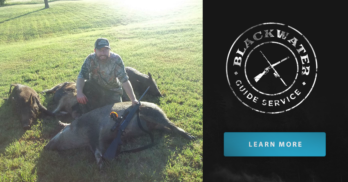 Texas Hog Hunts Outfitter