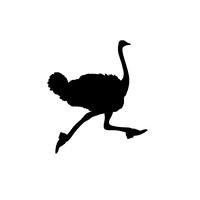 Fliteless logo