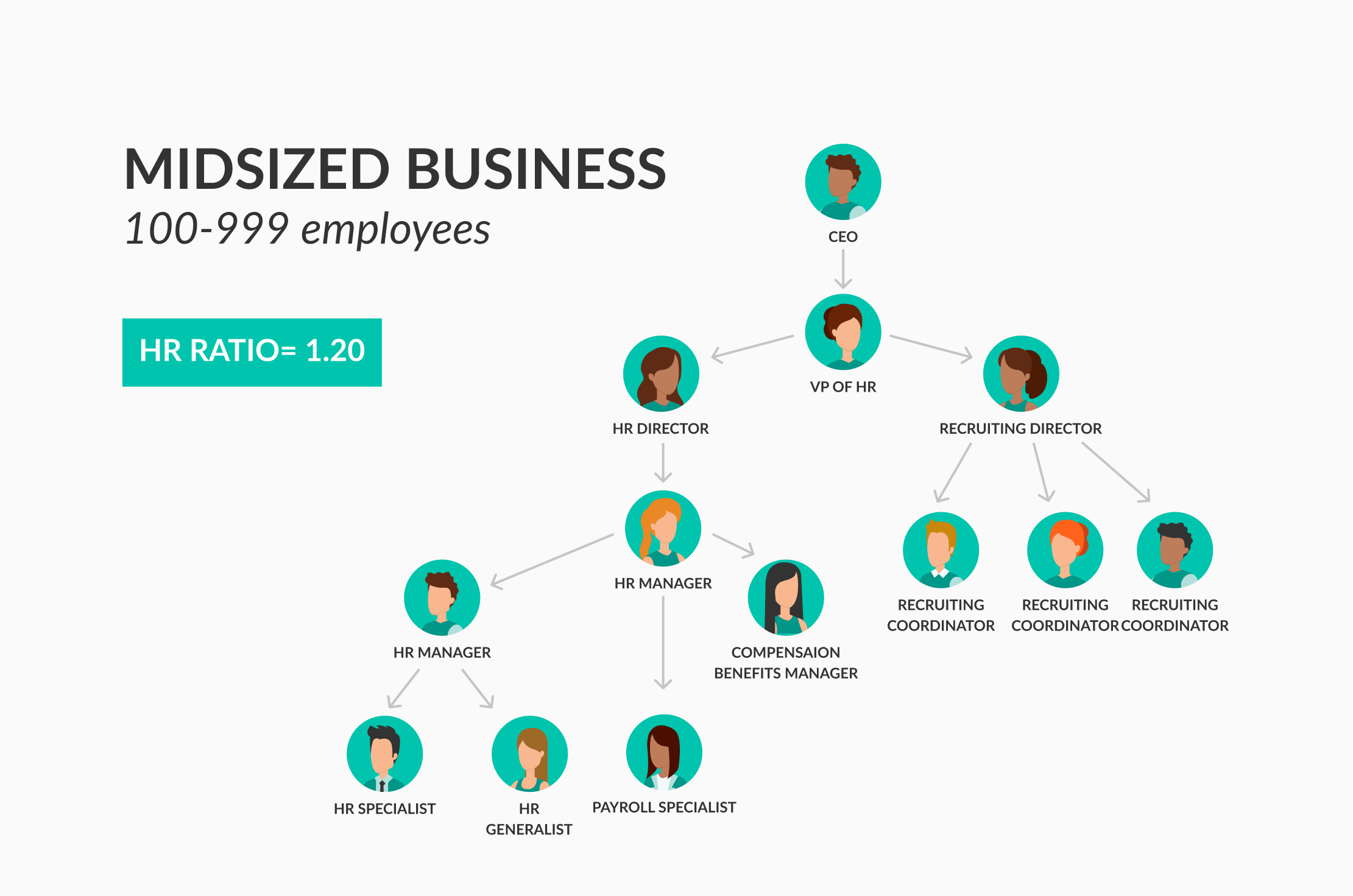 modelo de organizacion para mediana empresa