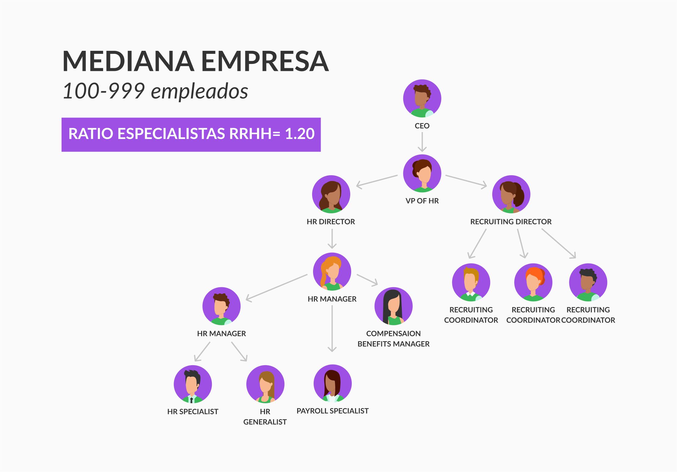 modelo de organizacion para mediana empresa