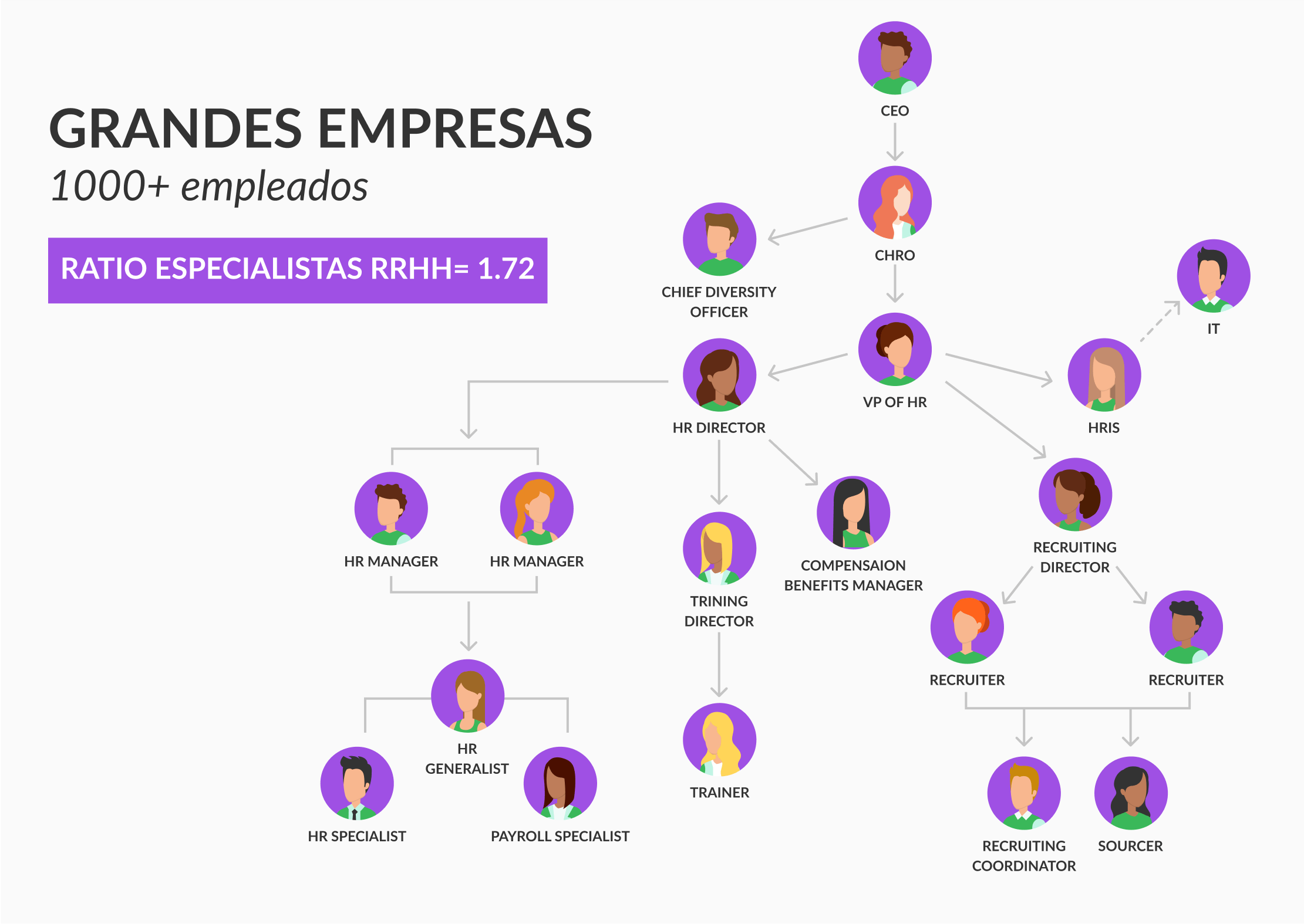modelo de organizacion para grandes empresas