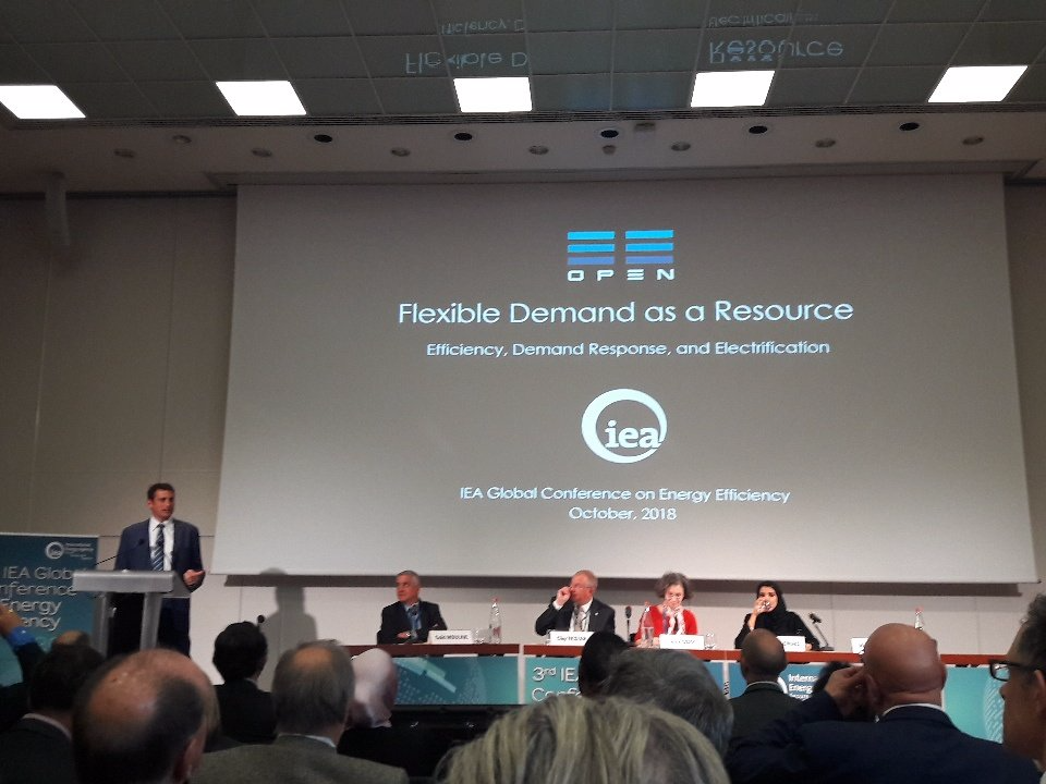 Flexible Demand as a Resource