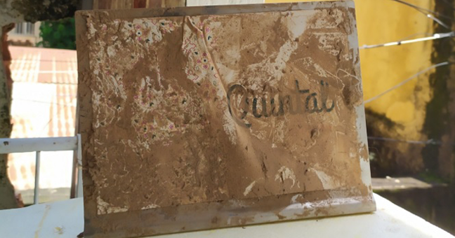 Reconstruindo a Quintal