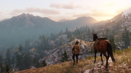 Panorama RDR2