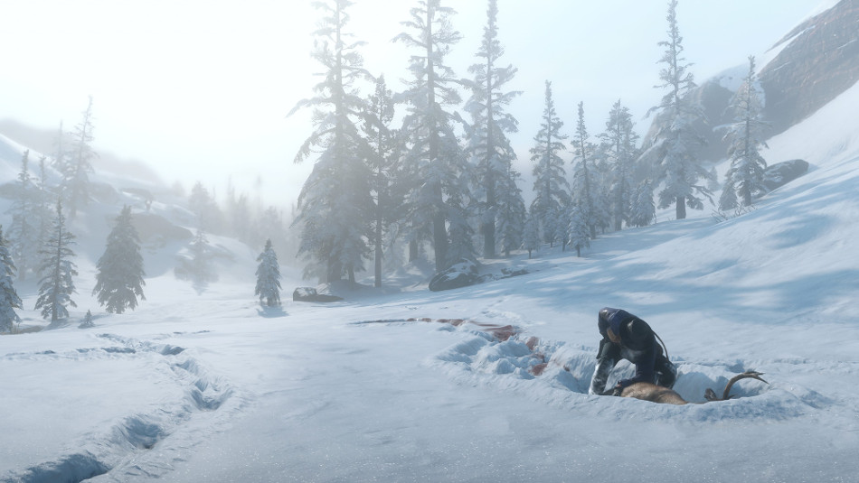 Snow RDR2