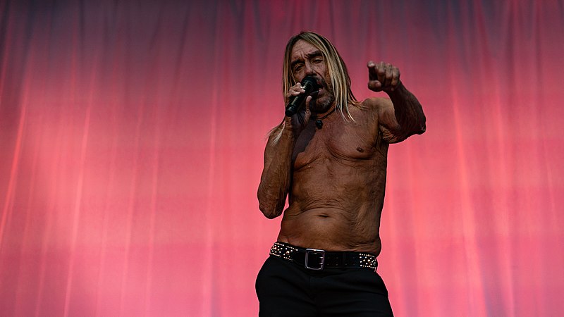 File:Iggy Pop WOWGoth090818-192 (45874833731).jpg