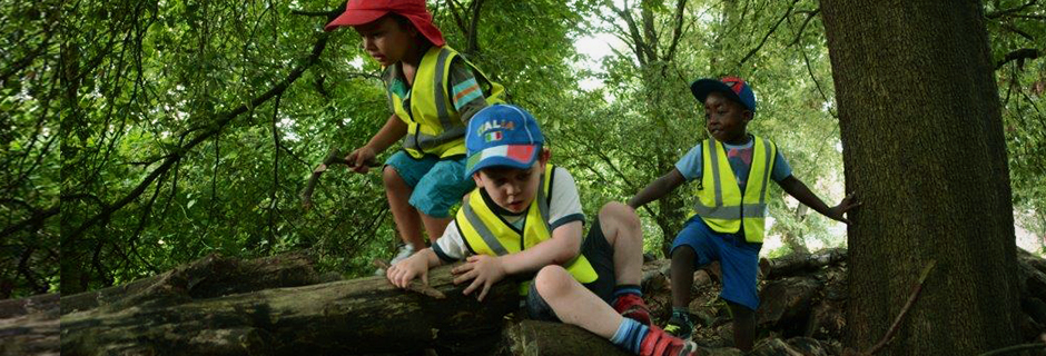 Forest School And Outdoor Learning