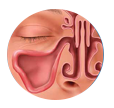 Balloon Sinus Dilation Process - Step 3: Relief