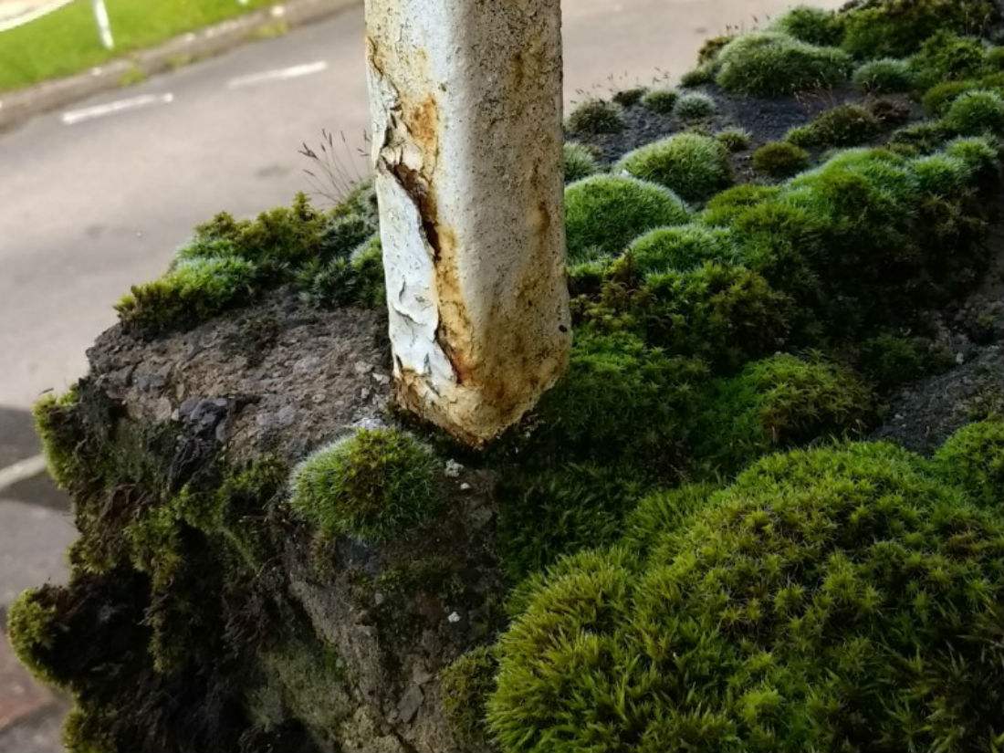 Hillwood Road, Aldbourne, Marlborough