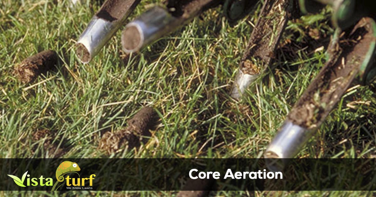 Lawn Aeration Services Vista Turf How Often Should My Lawn Be Aerated