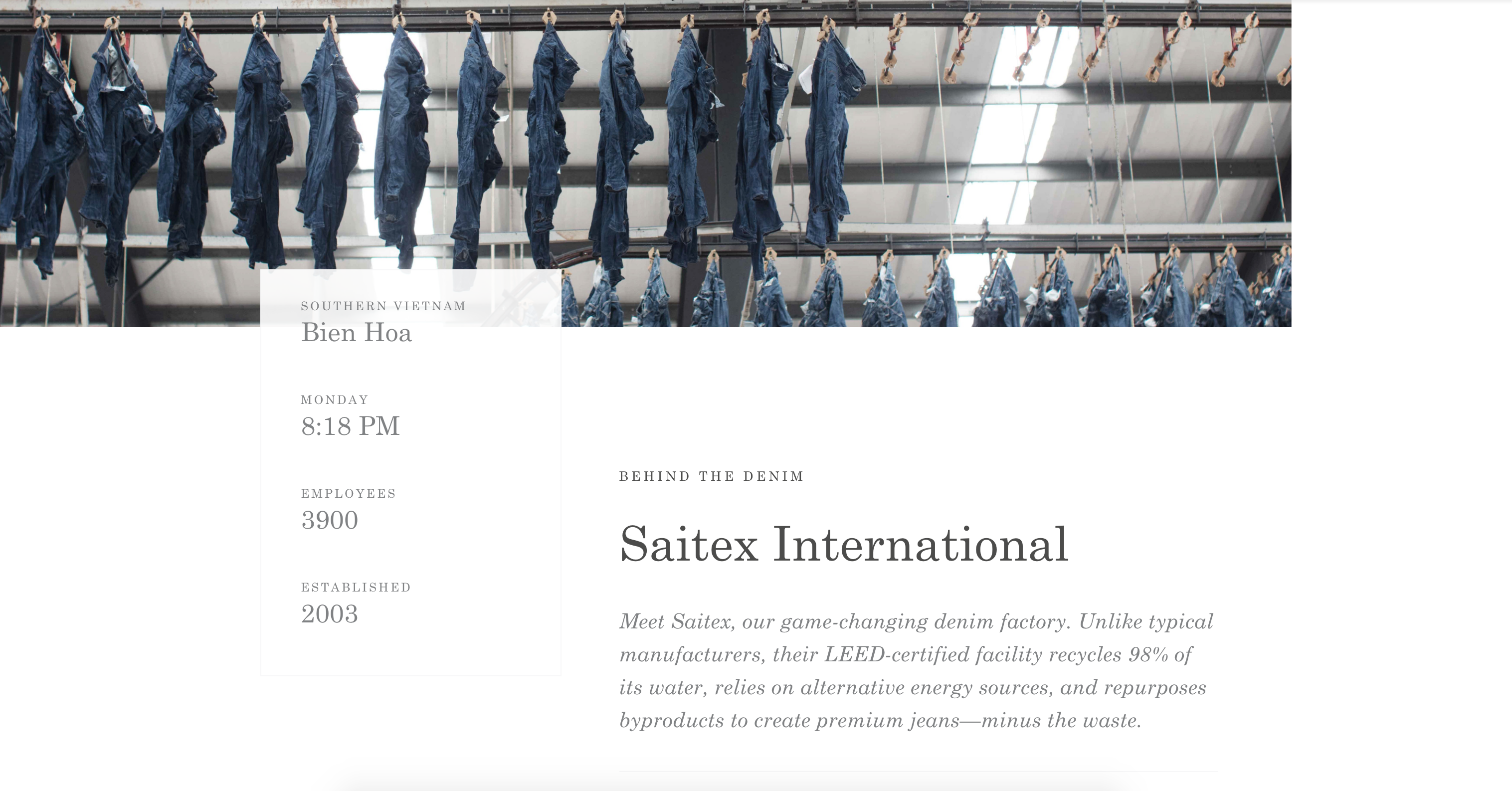 everlane_brands_we_love