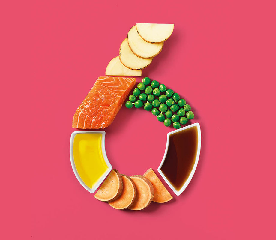 harringtons just 6 dog food