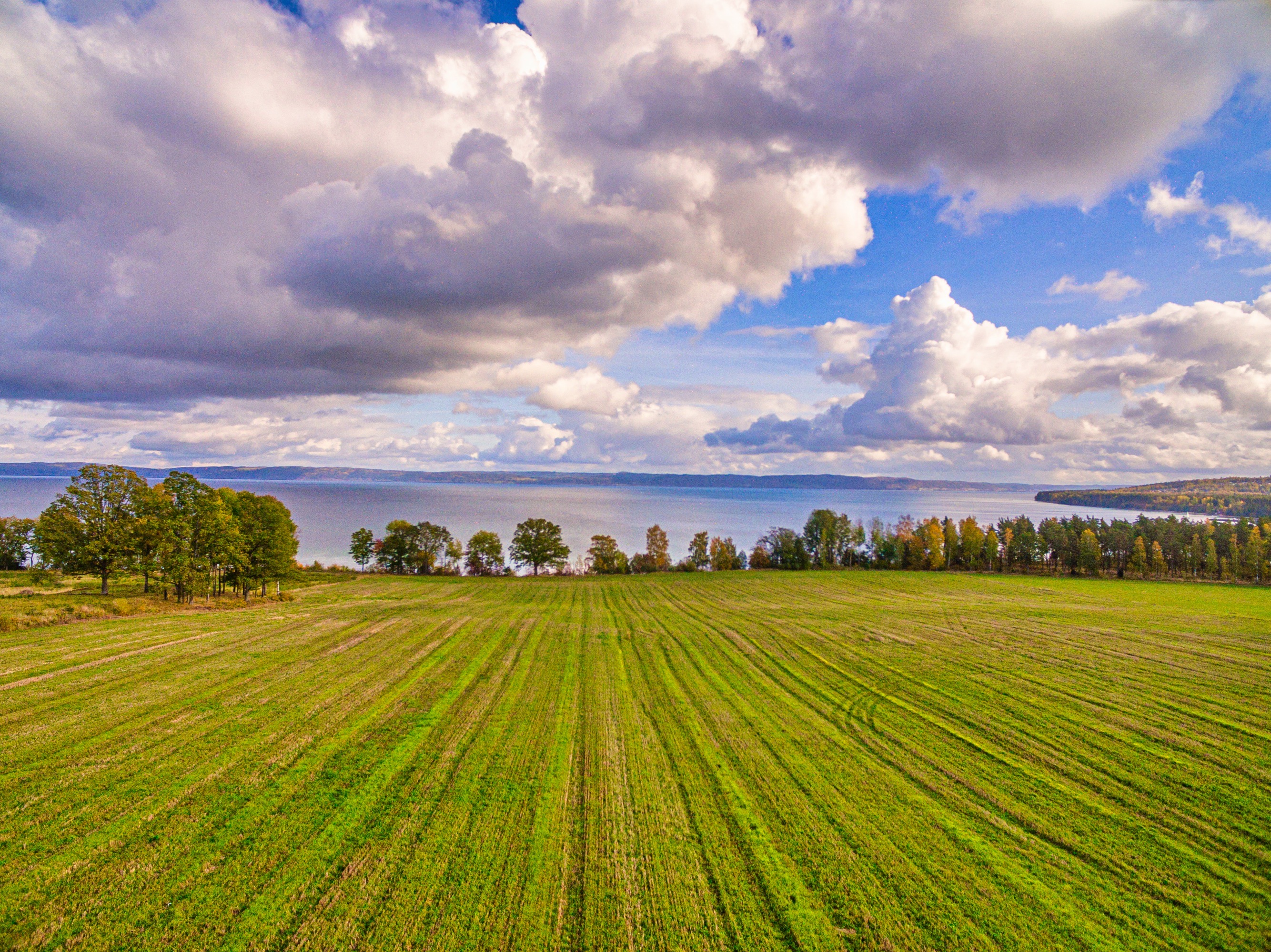Radhus