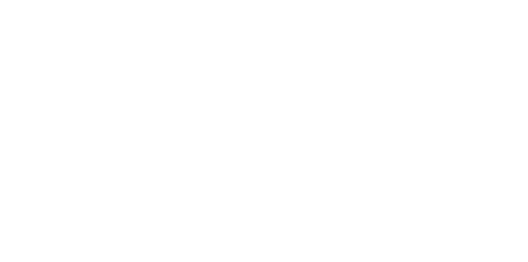VitaLife All Natural Dog Food Cat Food & Treats