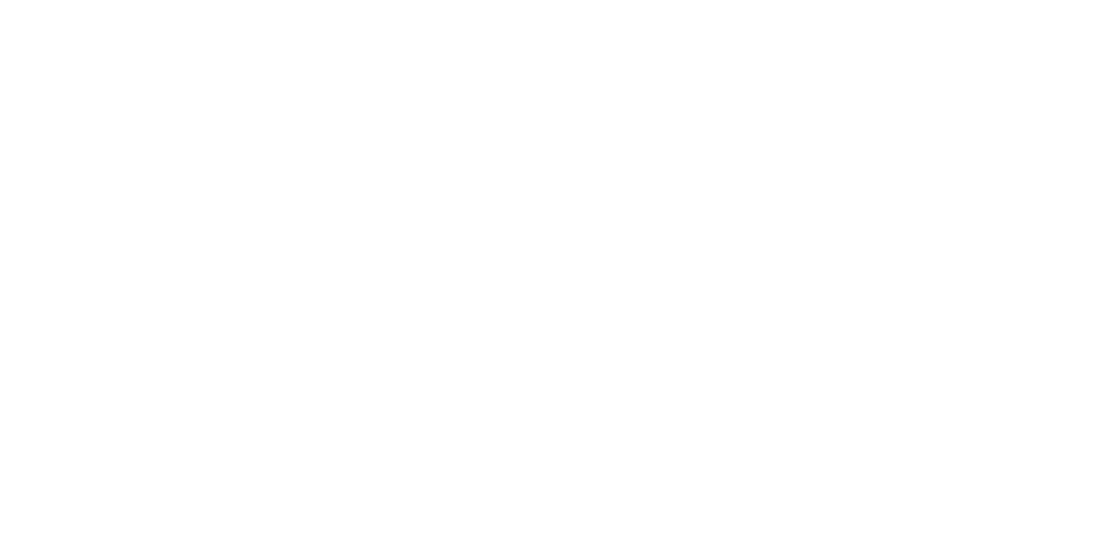 vitalife cat food