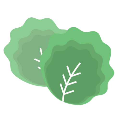 Kale brain food leafy greens