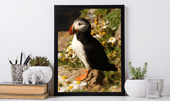 large format printing milford