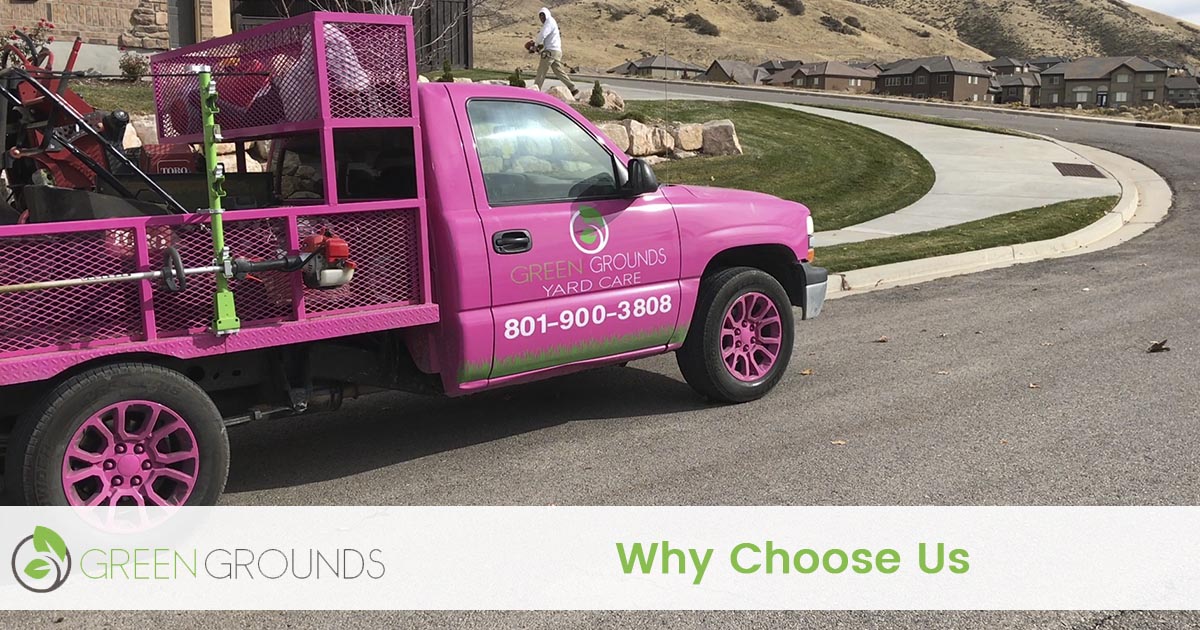 Why Choose Green Grounds Yard Care