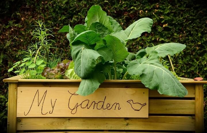using raised flower beds when gardening