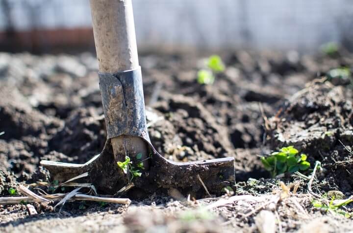 importance of equipment for elderly gardening