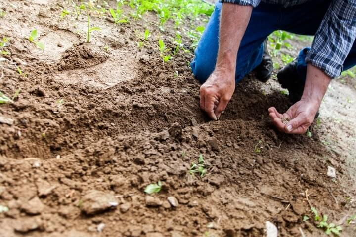 knee pad for gardening