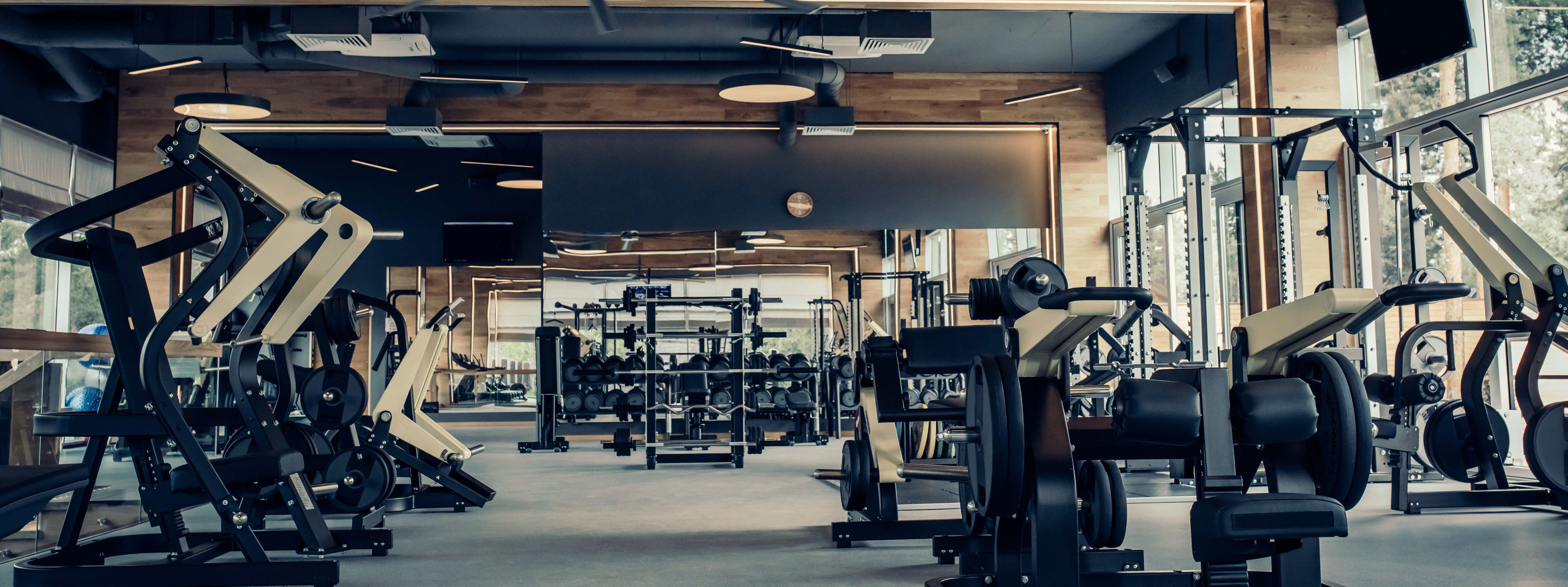 Does vibration training burn fat picture 9
