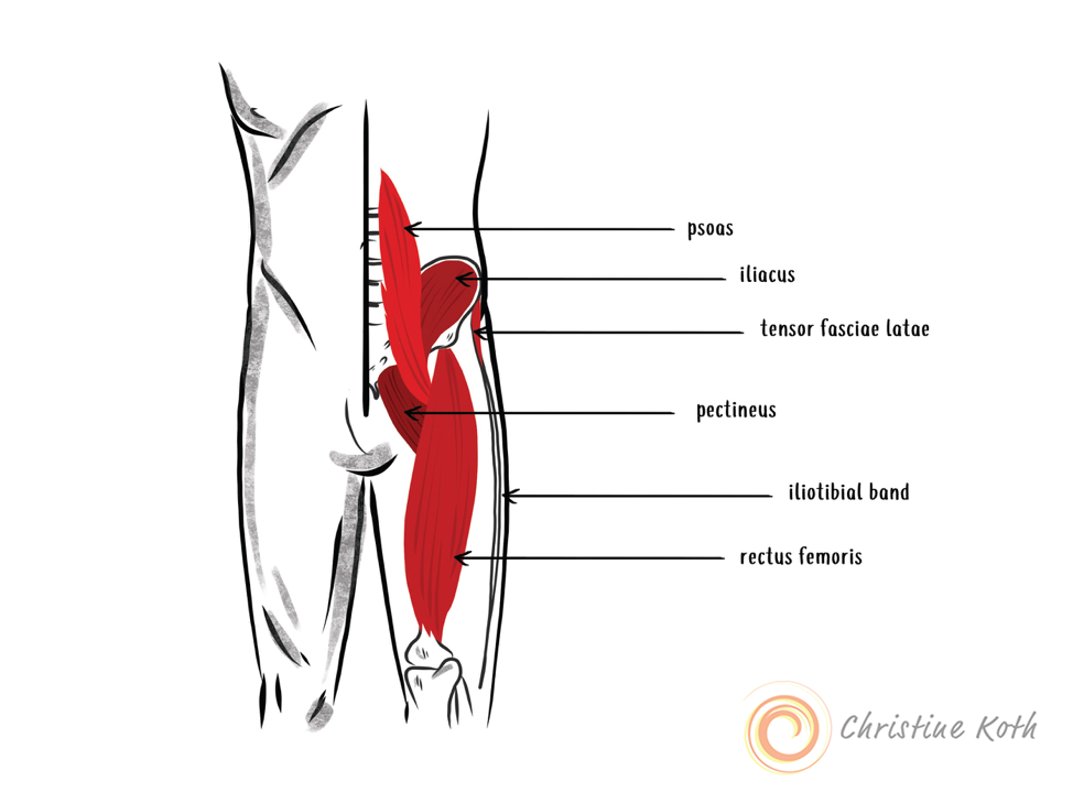 Other major hip flexors acting as Sidekicks to the iliopsoas (gluteus medius and sartorius not shown)